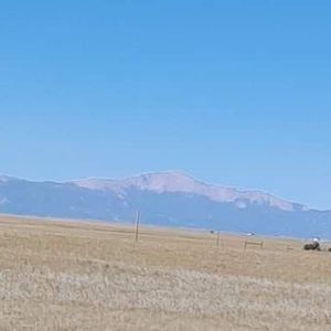 Meet your Posher, Dante